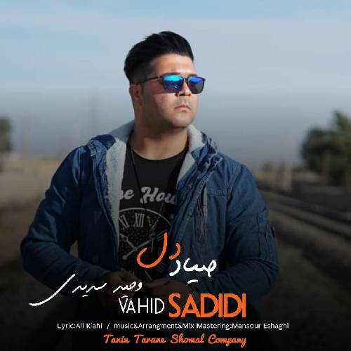 دانلود آهنگ صیاد دل وحید سدیدی